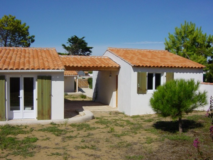 384.jpg