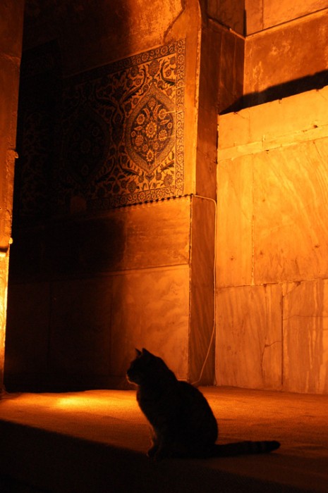111123_Istanbul.jpg