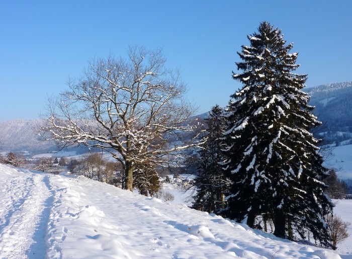 février 20121.jpg