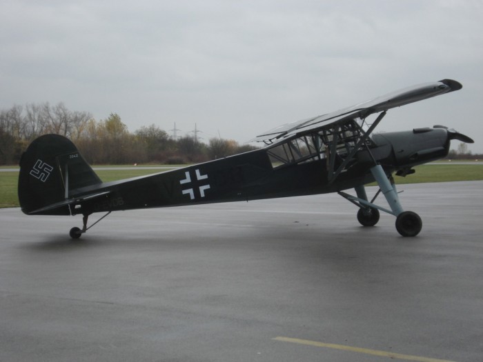 storch1.jpg