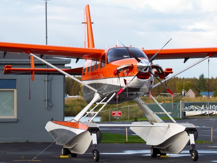 Quest - Kodiak.jpg