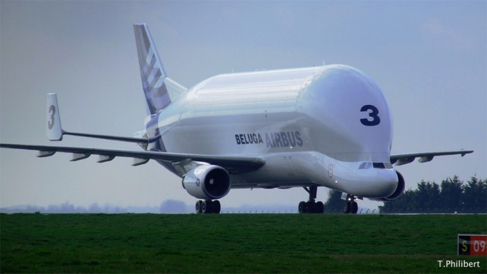 Airbus A300-600 Beluga dscf4322copiebz3.jpg