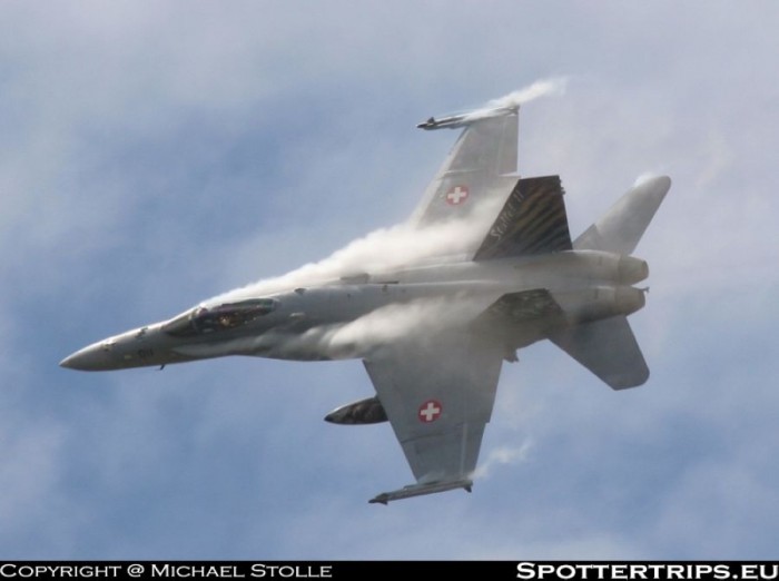 juin 2008 F-18 Suisse tiger meet j5011yn3.jpg