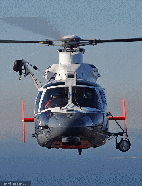 Dauphin Marine hydra 31226.jpg