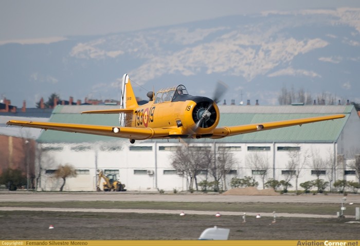 Low Down avc_00203675.jpg