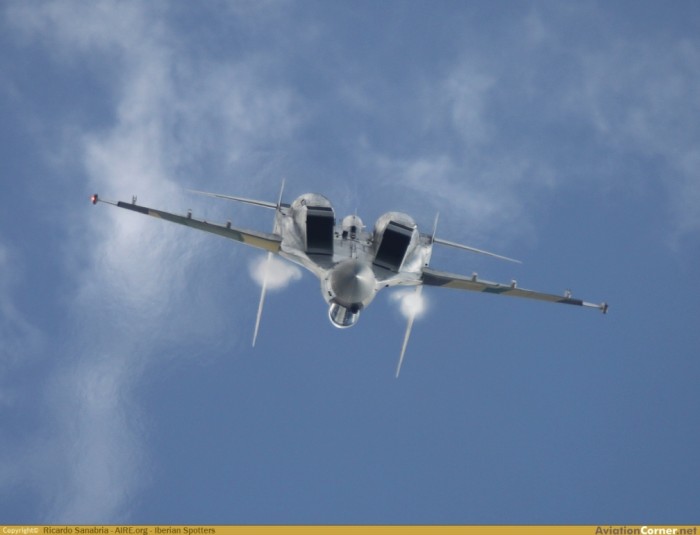 hydra avc_00222628.jpg