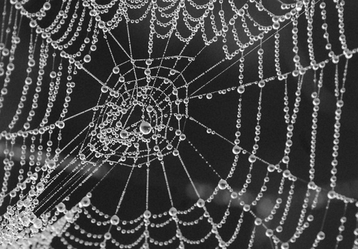 toile2_web.jpg