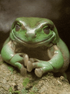 90a3ef4e.gif