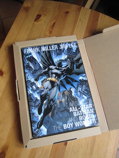 all star batman robin.JPG