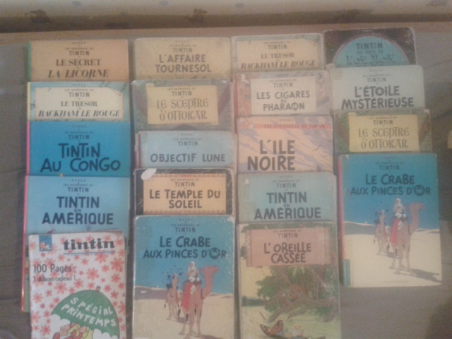 tintin.jpg