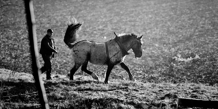 2015-02-07 Débardage 024_c1.jpg