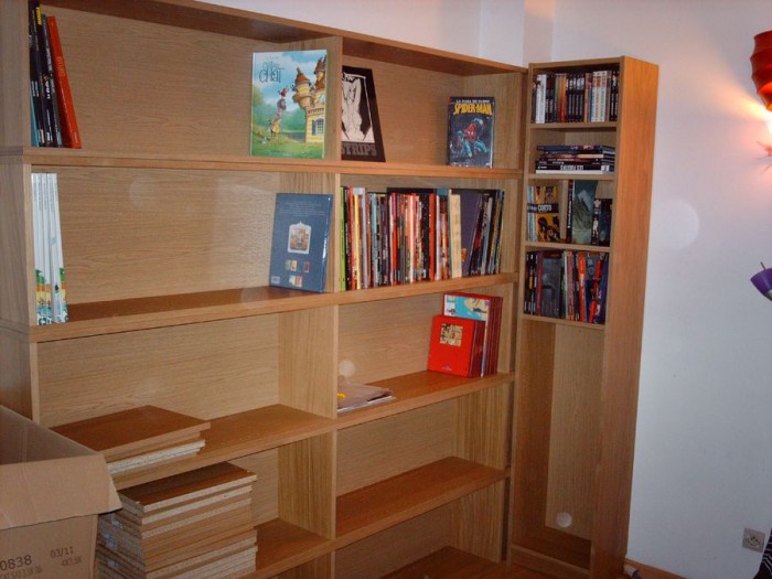 BIBLIOTHEQUE 018_2.JPG