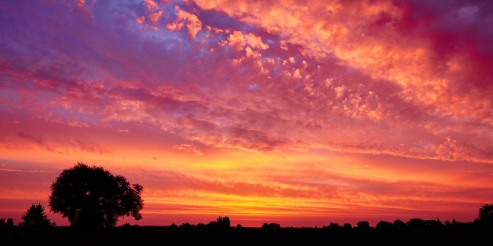 Kalmthoutse-Heide_2013-08-24_06h41m55s_c1.jpg