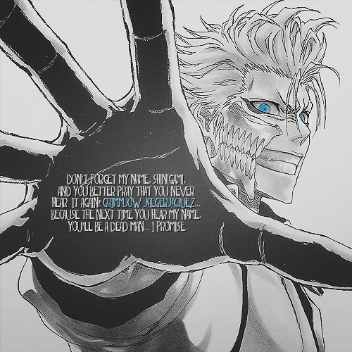 Grimmjow-bleach-anime-34551896-500-500.png