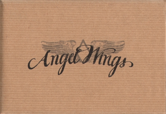 angelwings_PFT03TL_paquet.jpg