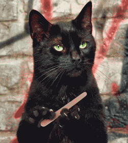 Cat2.gif