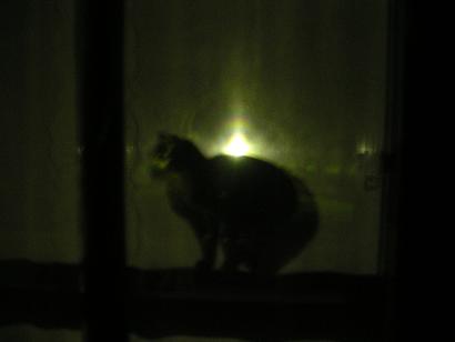 silhouette dinah.JPG