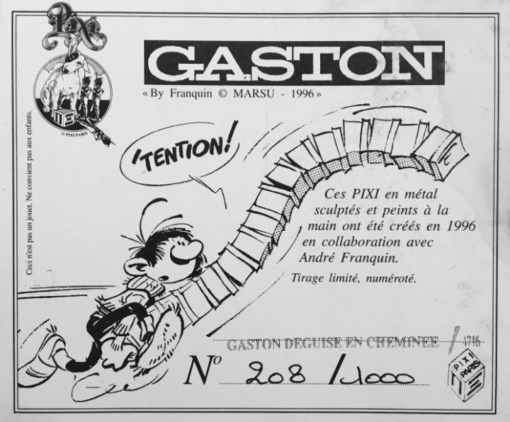 PixiGaston en cheminée 13351.jpg