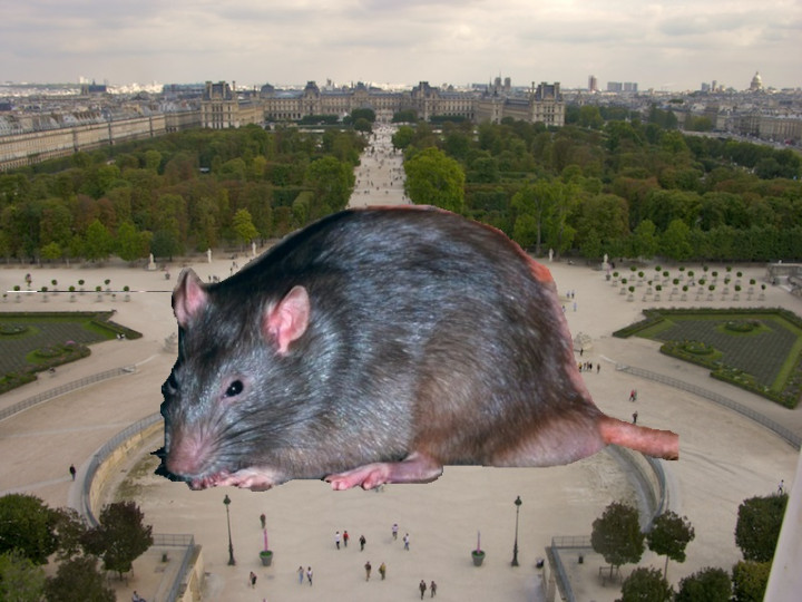 Tuileries.jpg