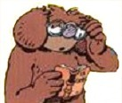 sans-titre.png