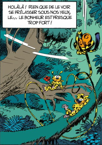 Colère Marsupilami.jpg