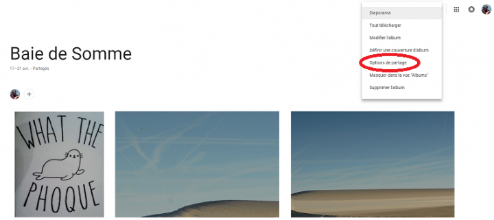 GooglePhotos1.png