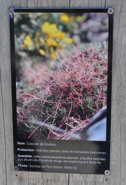 DSC_0787.JPG