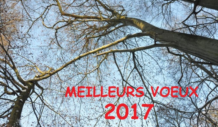 2017.jpg