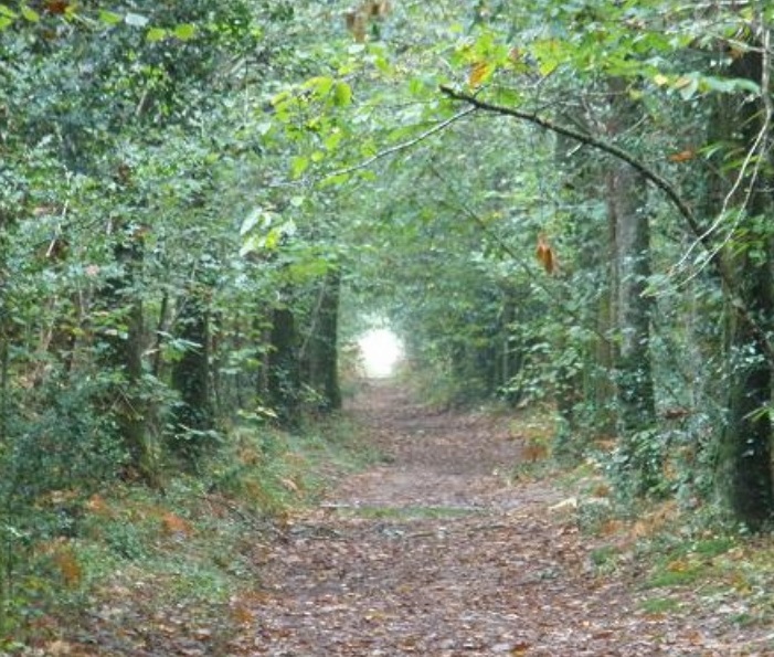 promenade.jpg