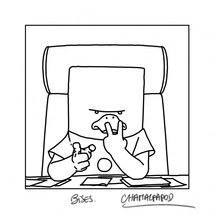 Avertissement cham.jpg