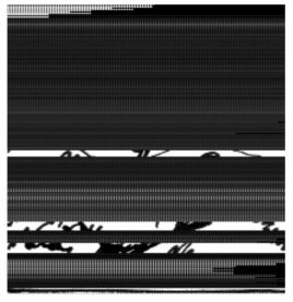 f.jpg
