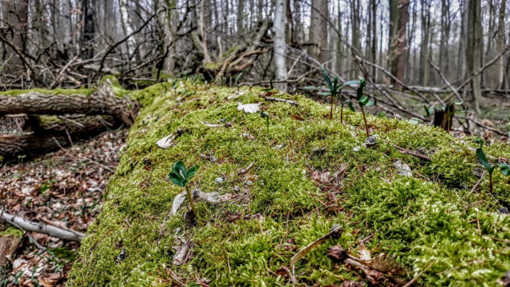 20190402_143539.jpg