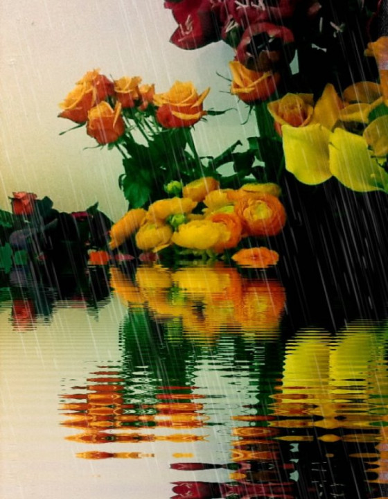 fleurs.jpg