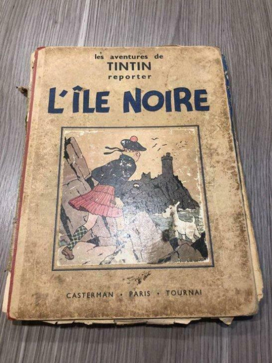 2ème main ile noire 1er plat.jpg