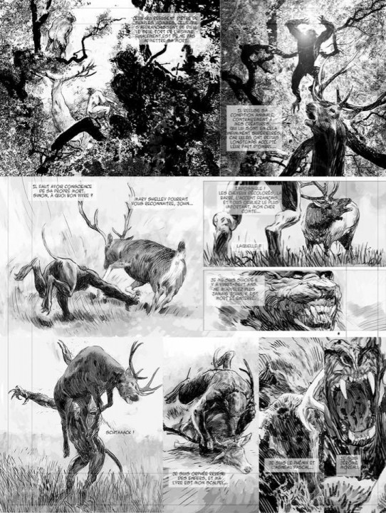Page 12 T2.jpg