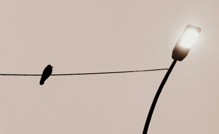 lampadaire.jpg