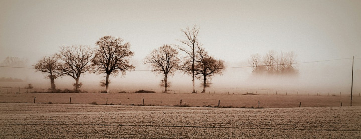 brouillard.jpg