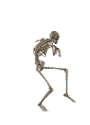 NKBEG2d.gif