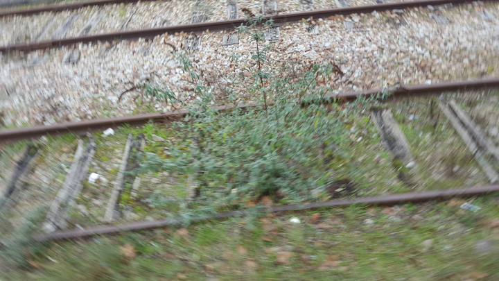 20200105_121716.jpg