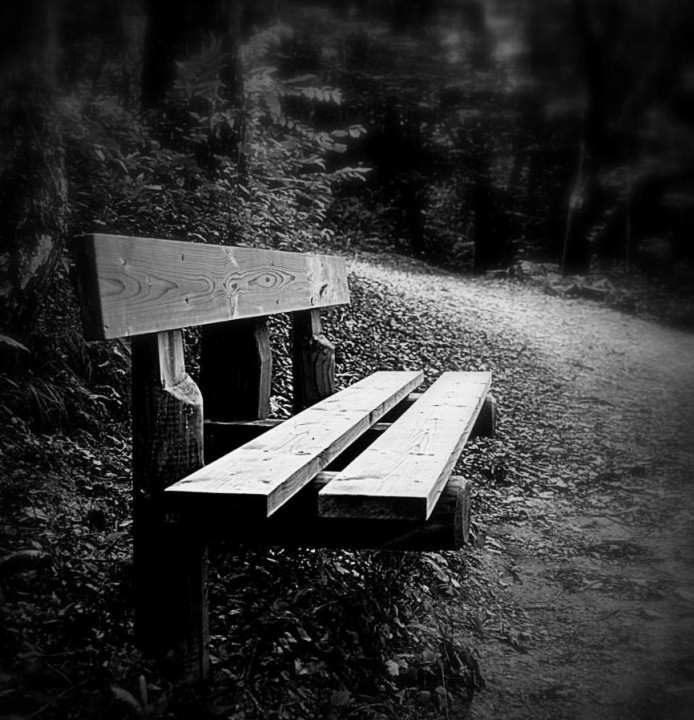 banc vide.jpg