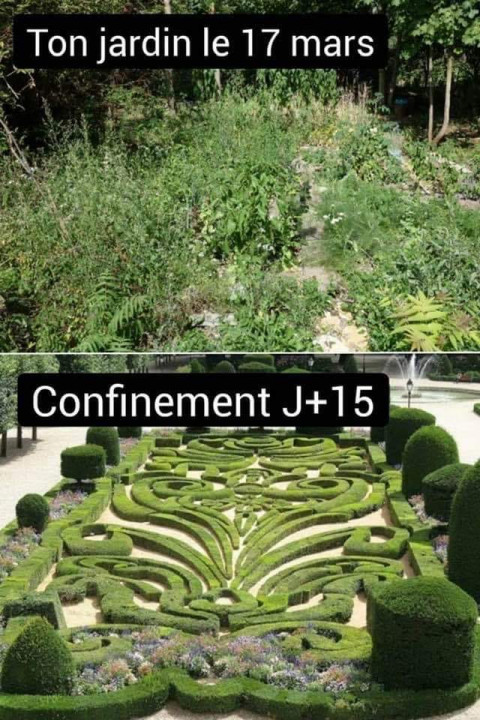 Jardin.jpg