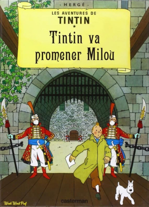 tintin1.jpg