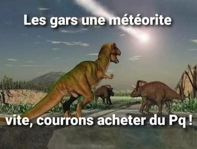 dinos.jpg
