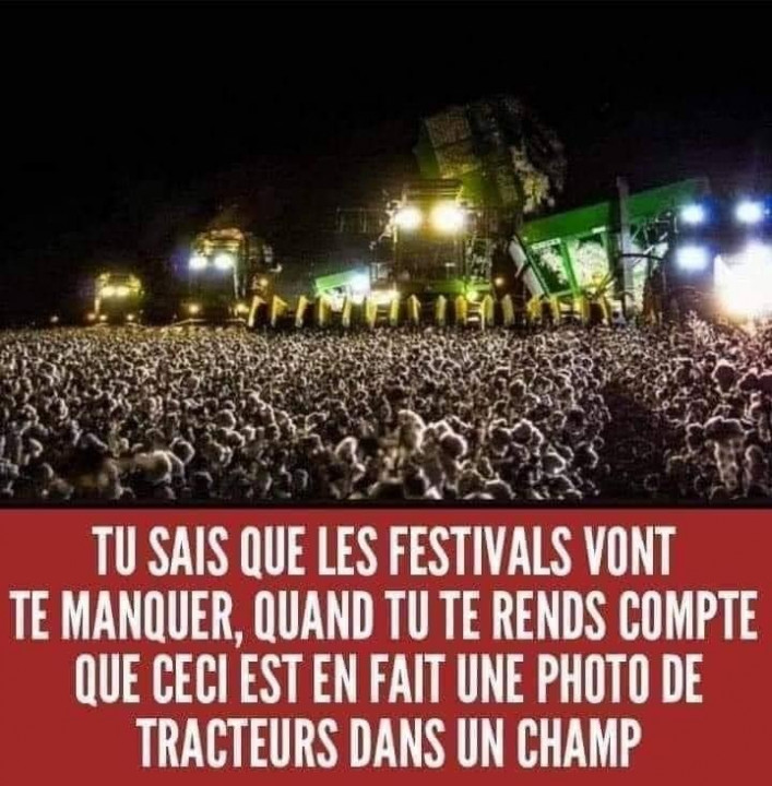 festiv.jpg