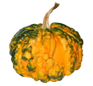 clc.jpg